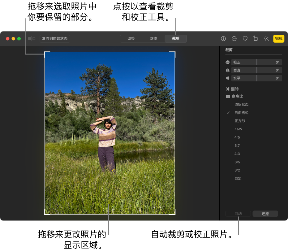 编辑视图中的照片，其中已选择工具栏中的“裁剪”；照片周围是选择矩形，右侧是“校正”滑块、宽高比选项以及“自动”和“还原”按钮。