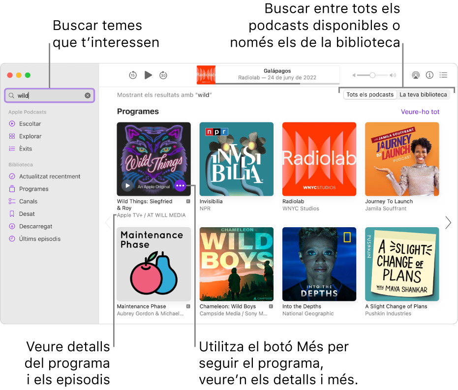 La finestra de l’app Podcasts mostrant el text introduït al camp de cerca a la cantonada superior esquerra, amb tots els podcasts coincidents amb la cerca a la dreta de la pantalla. Fes clic a l’enllaç que hi ha a sota del programa per veure informació detallada sobre el programa i els seus episodis. Utilitza el botó Més del programa per seguir el programa i canviar‑ne la configuració, entre altres accions.