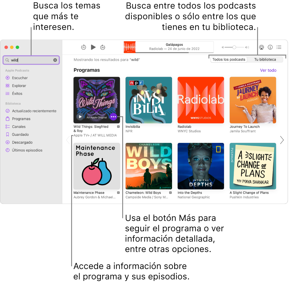 La ventana de Podcasts con texto introducido en el campo de búsqueda en la esquina superior izquierda, y episodios y programas que cumplen el criterio de búsqueda de todos los podcasts en la pantalla de la derecha. Haz clic en el enlace situado bajo el programa para ver los detalles sobre el programa y sus episodios. Utiliza el botón Más del programa para seguir el programa, cambiar sus ajustes y más cosas.