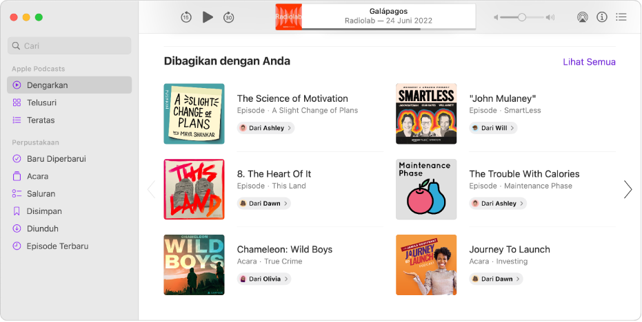 Jendela Podcast menampilkan beberapa podcast yang dibagikan dengan Anda.