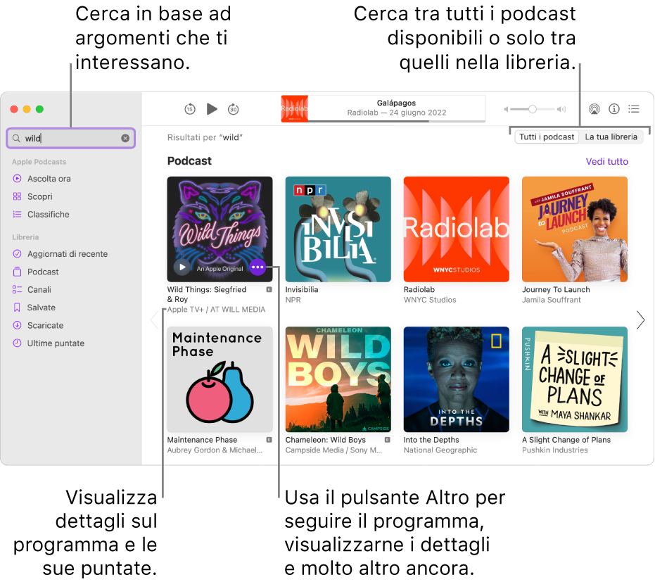 La finestra di Podcast con del testo nel campo di ricerca nell’angolo in alto a sinistra e le puntate e i programmi che corrispondono alla ricerca di tutti i podcast nella schermata a destra. Fai clic sul link sotto il programma per visualizzare i dettagli sul programma e le sue puntate. Usa il pulsante Altro del programma per seguirlo, modificarne le impostazioni e molto altro.