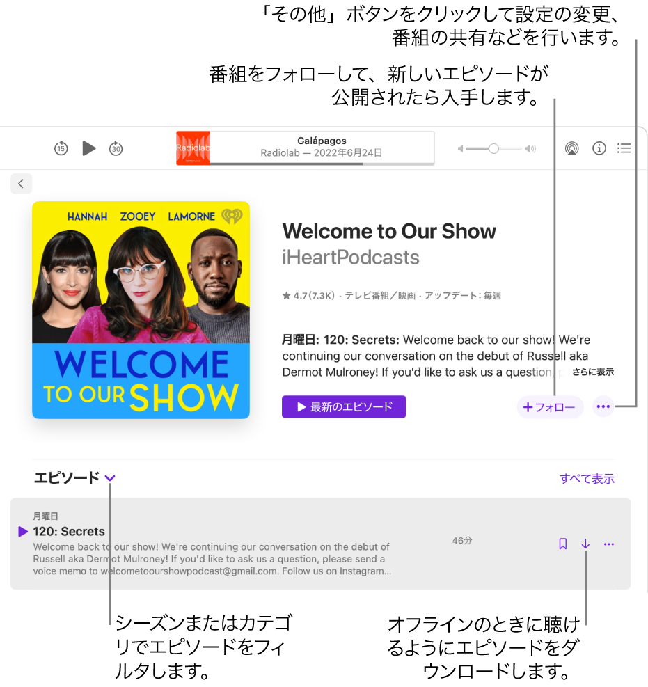 ポッドキャストの情報ページ。「フォロー」をクリックすると、新しいエピソードが公開されたときに入手できます。「その他」ボタンをクリックすると、設定を変更したり番組を共有したりできます。シーズンまたはカテゴリでエピソードをフィルタします。インターネットに接続していないときに聴きたい場合は、エピソードをダウンロードします。