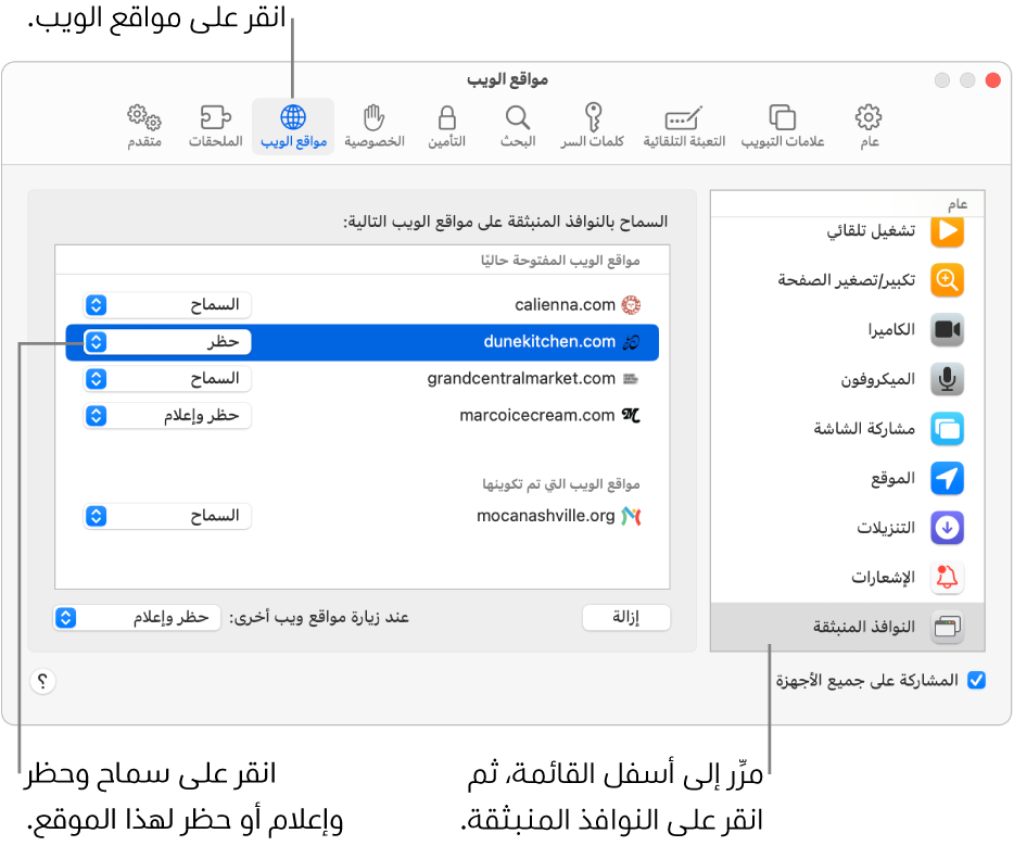 إعدادات سفاري لمواقع الويب، مع تحديد النوافذ المنبثقة في الجزء السفلي من الشريط الجانبي وتحديد موقع ويب مفتوح حاليًا.