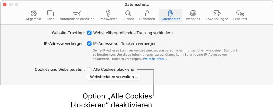 Der Bereich „Datenschutz“ der Safari-Einstellungen