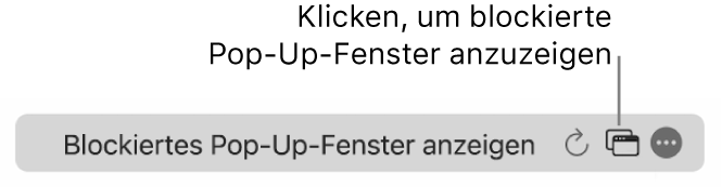 Das intelligente Suchfeld mit einem Symbol, um blockierte Pop-up-Fenster anzuzeigen.