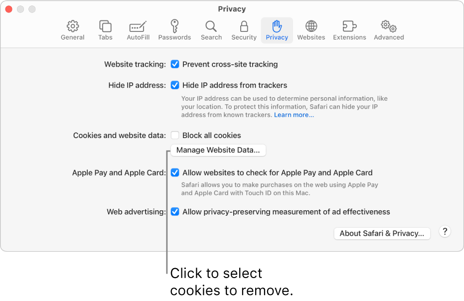 The Privacy pane of Safari settings.