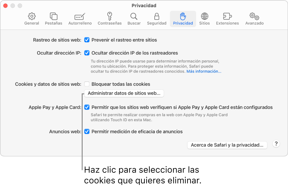 El panel Privacidad de la configuración de Safari.