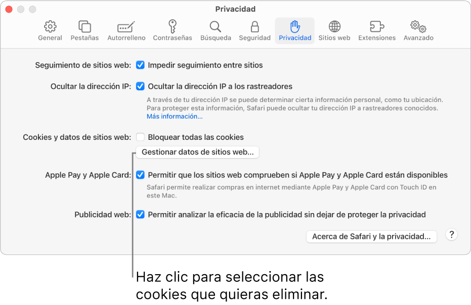 El panel Privacidad de los ajustes de Safari.