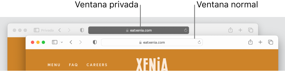 Una ventana privada de Safari con su campo de búsqueda inteligente de color oscuro y una ventana normal de Safari con su campo de búsqueda inteligente de color claro.
