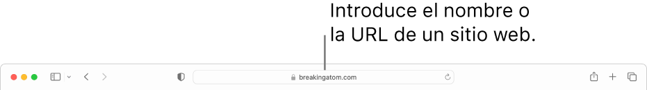 El campo de búsqueda inteligente de Safari, donde puedes escribir el nombre o la URL de un sitio web.