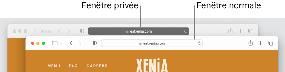 Une fenêtre privée de Safari avec son champ de recherche intelligente d’apparence sombre et une fenêtre normale de Safari avec son champ de recherche intelligente d’apparence claire.