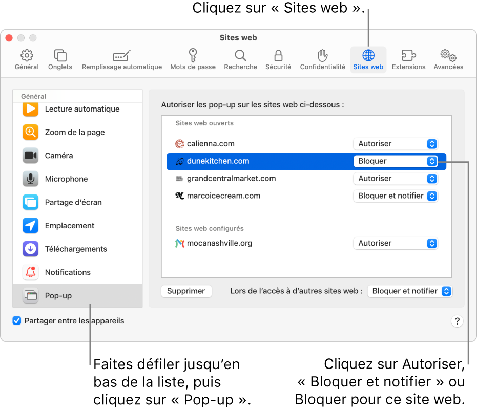 Réglages Safari pour les sites web, avec Pop-up sélectionné en bas de la barre latérale et un site web actuellement ouvert sélectionné.