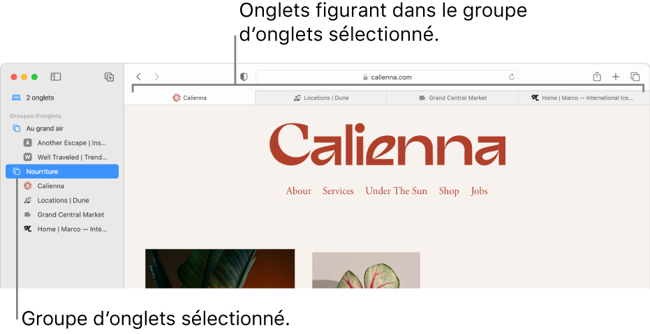 Fenêtre Safari affichant la barre latérale avec un groupe d’onglets sélectionné.