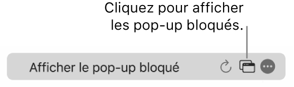 Champ de recherche intelligente avec une icône permettant d’afficher les pop-up bloqués.