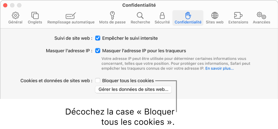 La sous-fenêtre Confidentialité des réglages Safari.