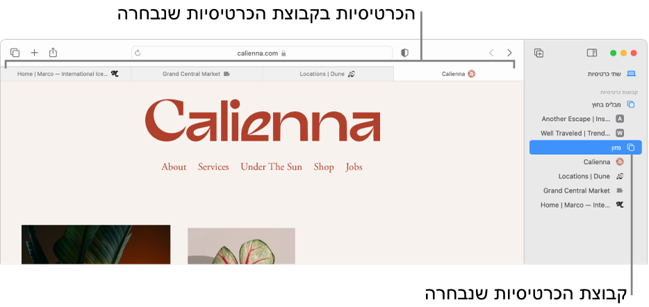 חלון של Safari המציג את סרגל הצד וקבוצת כרטיסיות מסומנת.