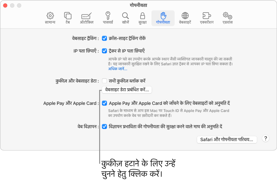 Safari सेटिंग्ज़ का गोपनीयता पेन