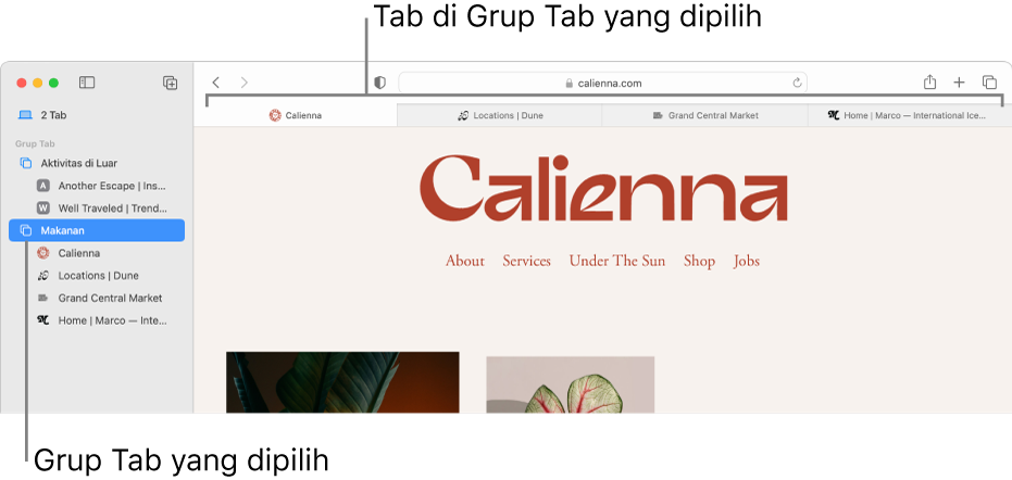 Jendela Safari menampilkan bar samping dengan Grup Tab dipilih.