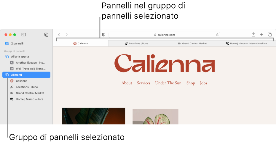 Una finestra di Safari che mostra la barra laterale con un gruppo di pannelli selezionato.