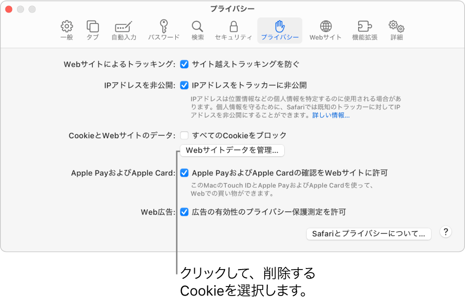 「Safari」設定の「プライバシー」パネル。