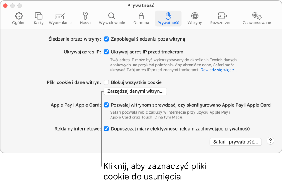 Panel Prywatność w ustawieniach Safari