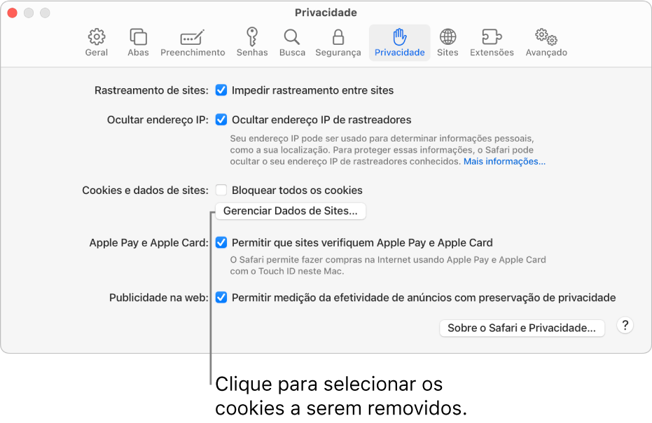 O painel Privacidade dos ajustes do Safari.