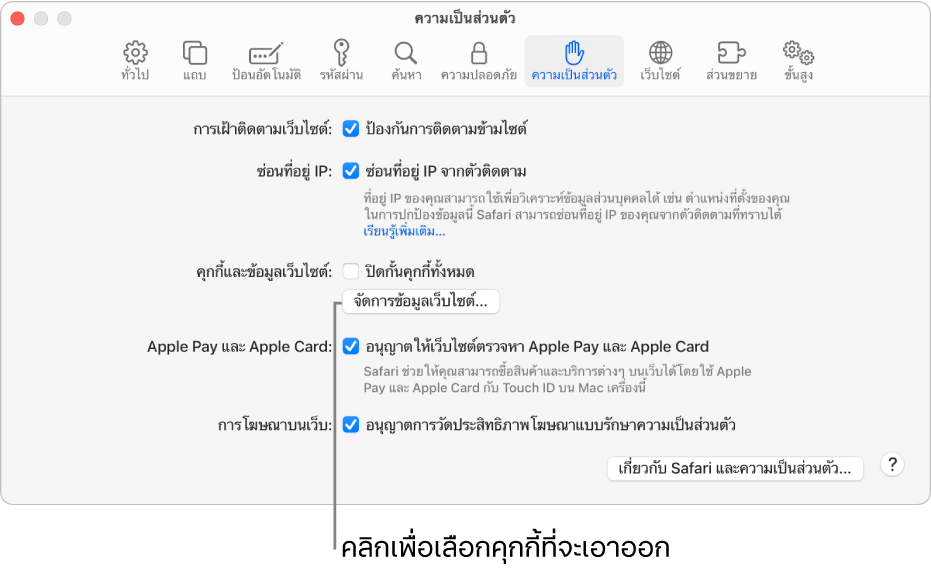 บานหน้าต่างความเป็นส่วนตัวของการตั้งค่า Safari