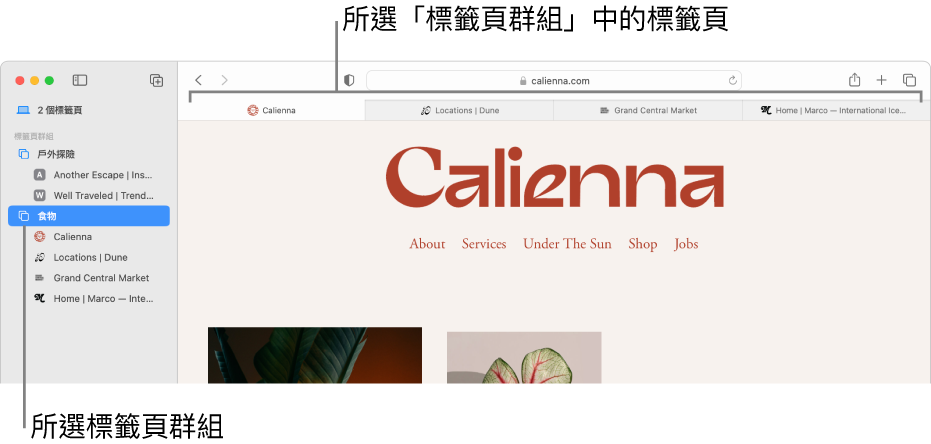 Safari 視窗顯示已選取「標籤頁群組」的側邊欄。