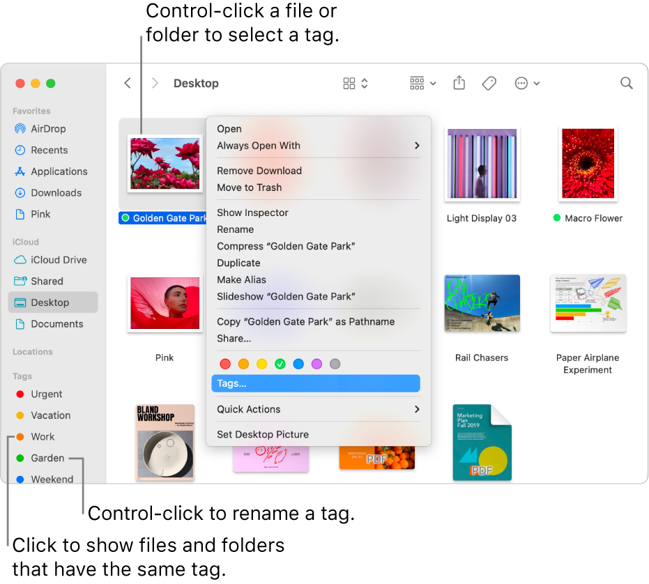 A Finder window containing tagged files and folders, with a file selected. In the shortcut menu, there are colour choices for tags, and Tags is highlighted.