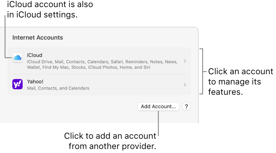 Internet Accounts settings with accounts that are set up on the Mac listed.