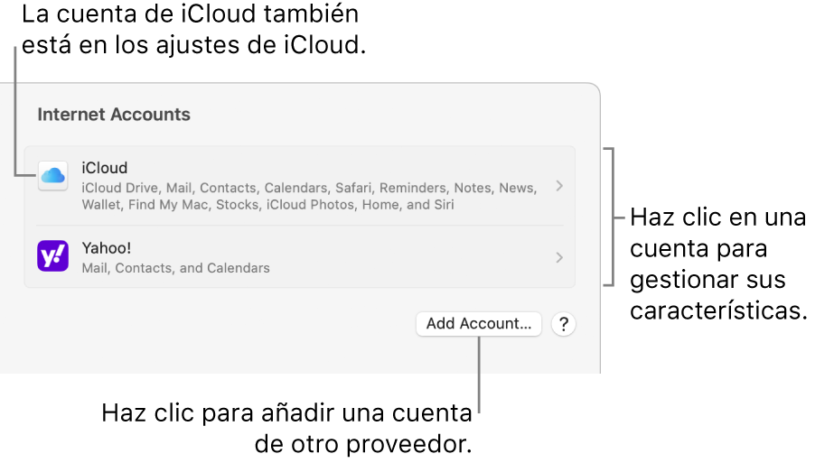 Ajustes de las cuentas de internet con una lista de las cuentas que se hayan configurado en el Mac.