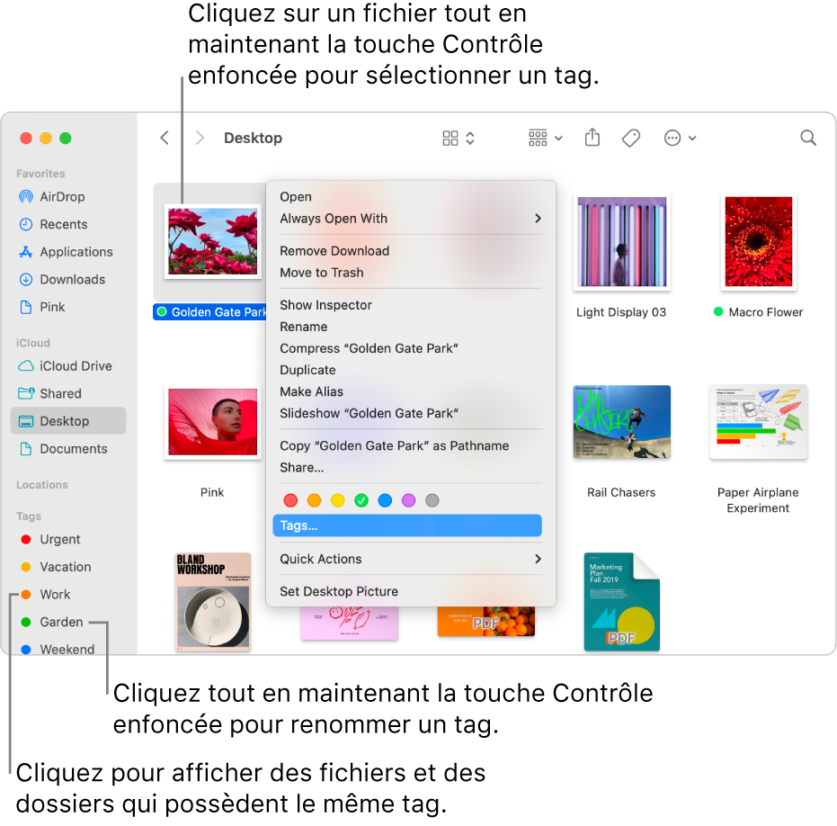 Une fenêtre du Finder contenant des fichiers et dossiers associés à des tags, avec un fichier sélectionné. Différents choix de couleur sont proposés pour les tags dans le menu contextuel, et Tags est surligné.