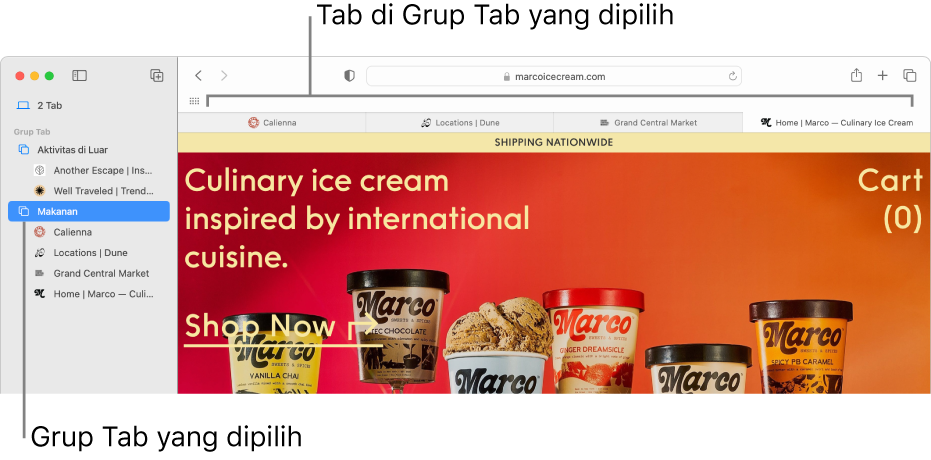 Jendela Safari menampilkan bar samping dengan Grup Tab dipilih.