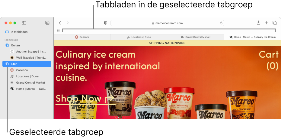 Een Safari-venster waarin in de navigatiekolom een tabbladgroep is geselecteerd.