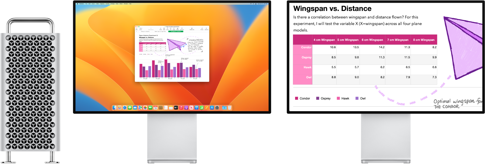 Zoom Display active on the right display, with the screen size fixed on the left display.