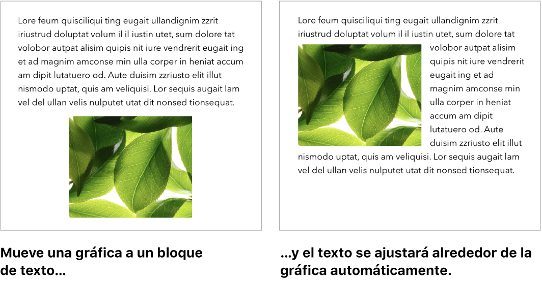 Una ventana de Pages mostrando cómo el texto se ajusta alrededor de las imágenes.