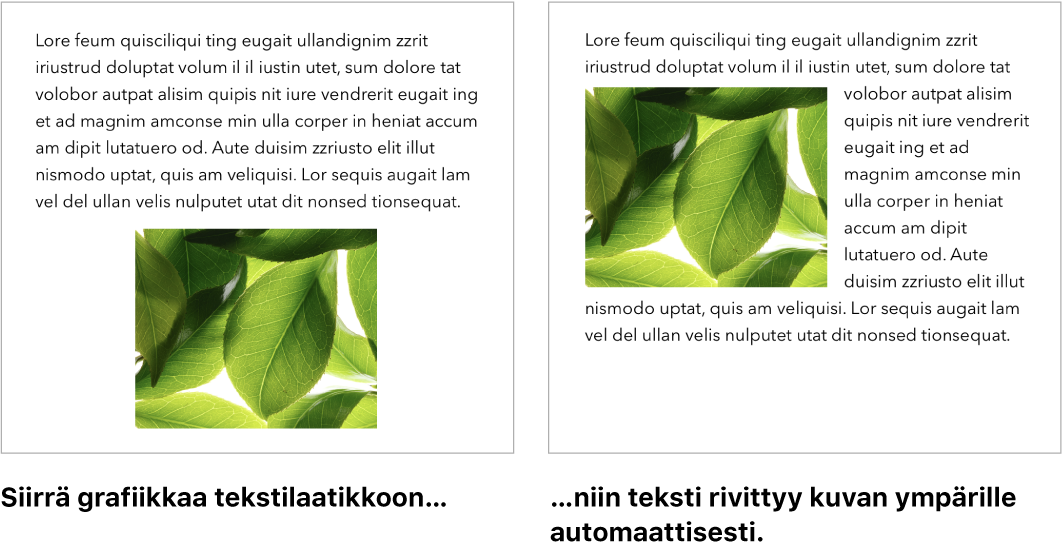 Pages-ikkuna, jossa näkyy, miten teksti rivittyy grafiikoiden ympärille.