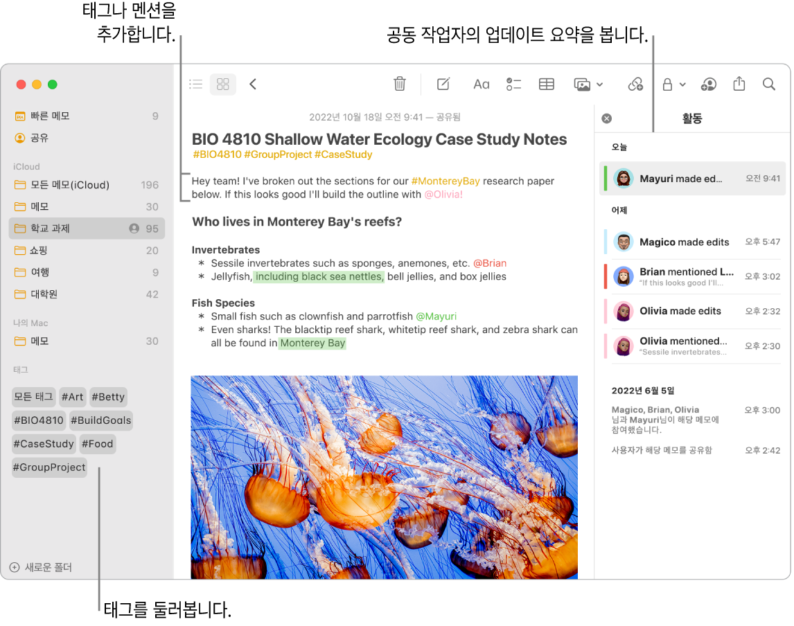 사이드바에 태그에 대한 설명이 있는 갤러리 보기의 메모 윈도우. 주 메모에는 태그 및 멘션에 대한 설명이 있음. 오른쪽에는 업데이트 요약 보기에 대한 설명이 있는 활동 목록이 있음.