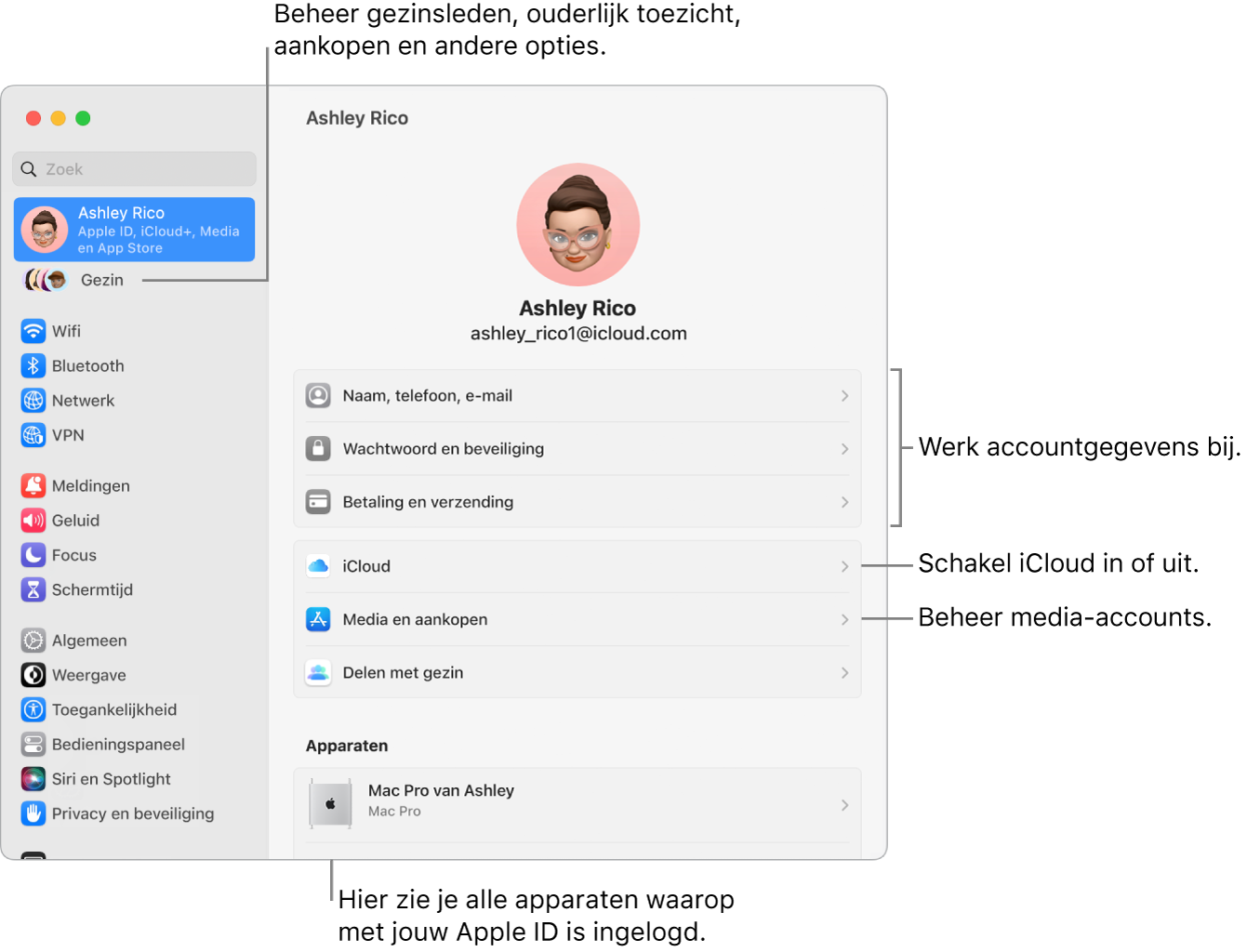 Het paneel 'Apple ID' in Systeeminstellingen, met bijschriften voor de opties waarmee je je accountgegevens bijwerkt, iCloud-voorzieningen in- of uitschakelt, media-accounts beheert en gezinsinstellingen wijzigt om gezinsleden, ouderlijk toezicht, aankopen en andere opties te beheren.