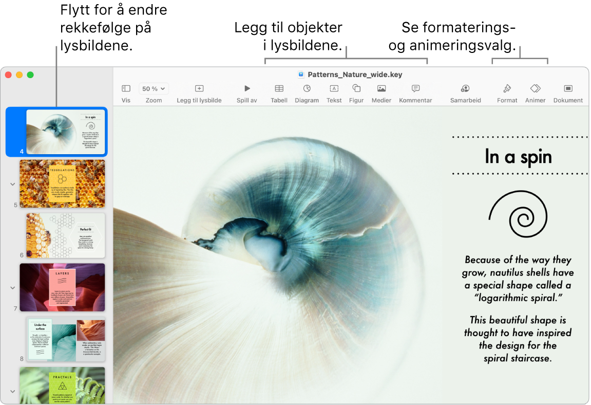 Et Keynote-vindu med lysbildenavigering til venstre og hvordan man endrer rekkefølgen på lysbilder, verktøylinjen og redigeringsverktøyene øverst, Samarbeid-knappen oppe til høyre, og knappene Format og Animer til høyre.