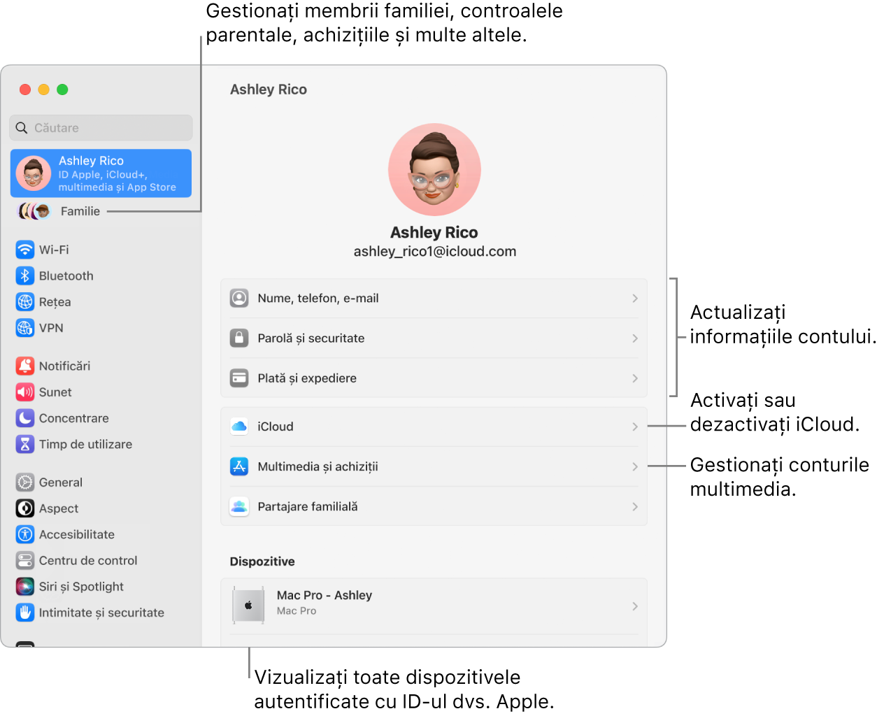 Panoul ID Apple din Configurări sistem cu explicații pentru actualizarea informațiilor contului dvs., activarea sau dezactivarea funcționalităților iCloud, gestionarea conturilor multimedia și Familie, unde puteți gestiona membrii familiei, controalele parentale, cumpărăturile și altele.