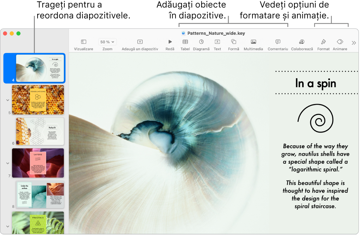 O fereastră Keynote afișând navigatorul de diapozitive în stânga și modul de reordonare a diapozitivelor, bara de instrumente cu instrumentele de editare în partea de sus, butonul Colaborează lângă partea din dreapta sus și butoanele Format și Animare în dreapta.