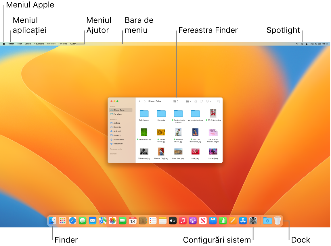 Un ecran Mac afișând meniul Apple, meniul Aplicații, meniul Ajutor, bara de meniu, o fereastră Finder, pictograma Spotlight, pictograma Finder, pictograma Configurări sistem și Dock-ul.