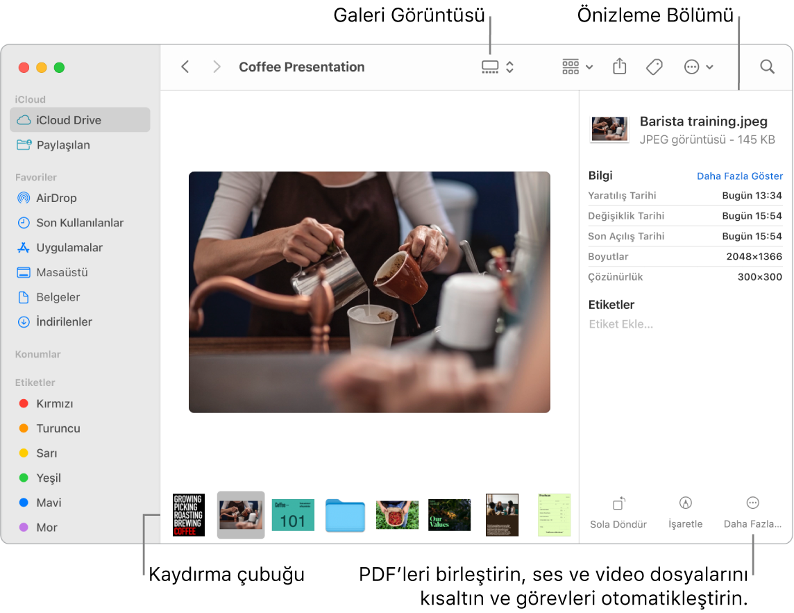 Galeri Görüntüsü’nde, büyük bir fotoğraf ile altında bir sıra daha küçük fotoğraf içeren ilerleme çubuğunu gösteren açık bir Finder penceresi. Döndürme, işaretleme ve daha fazlasına yönelik denetimler, ilerleme çubuğunun sağında yer alır.