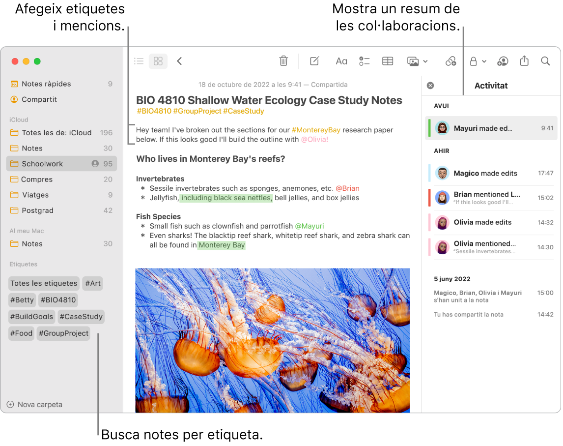 Una finestra de l’app Notes en visualització en galeria amb una llegenda de les etiquetes de la barra lateral. A la nota principal hi ha la llegenda d’una etiqueta i una menció. A la dreta hi ha una llista d’activitat amb una llegenda que mostra un resum de les actualitzacions.
