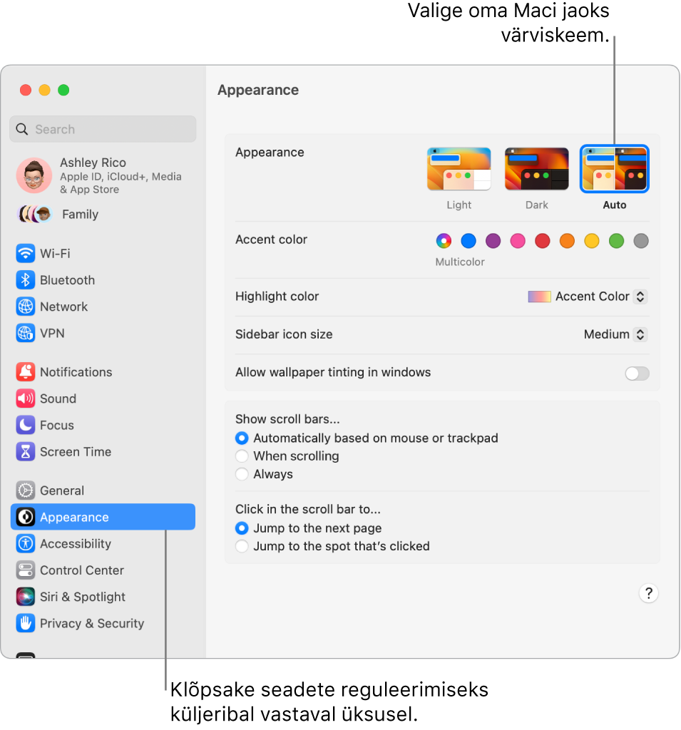 Jaotise System Settings Appearance-seaded.