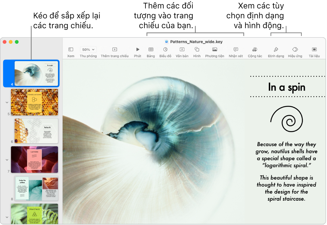 Một cửa sổ Keynote đang hiển thị trình điều hướng trang chiếu ở bên trái và cách sắp xếp lại các trang chiếu, thanh công cụ và các công cụ sửa ở trên cùng, nút Cộng tác gần trên cùng bên phải, cũng như các nút Định dạng và Hiệu ứng ở bên phải.