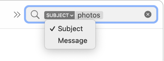 A search filter whose down arrow was clicked to show two options: Subject and Entire Message. Subject is selected.