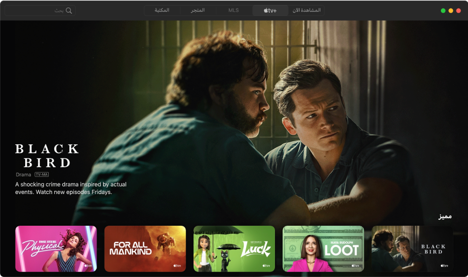 شاشة توضح Apple TV+‎