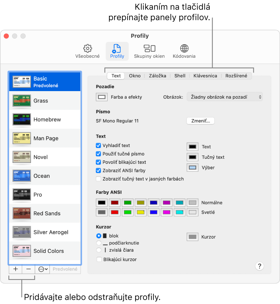 Panel Profily Terminálu zobrazujúci vybratý profil Základný, tlačidla na pridanie alebo odstránenie profilov a tlačidlá na prepínanie panelov profilov.